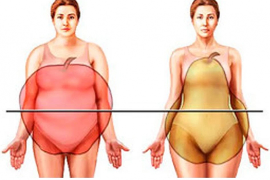 Por que a mulher acumula gordura abdominal na menopausa?