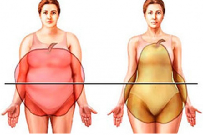 Por que a mulher acumula gordura abdominal na menopausa?
